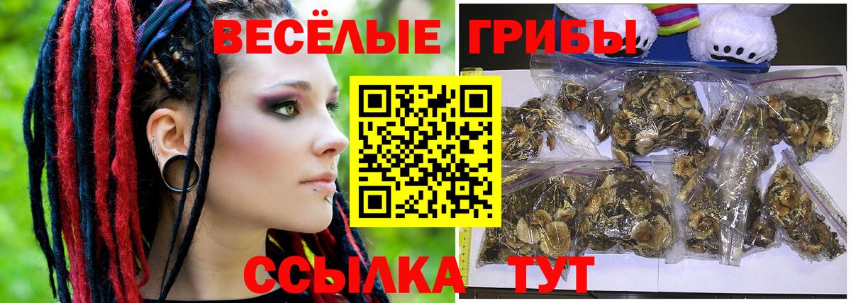 Иваново  Галлюциногенные грибы мухоморы  Вход с VPN 